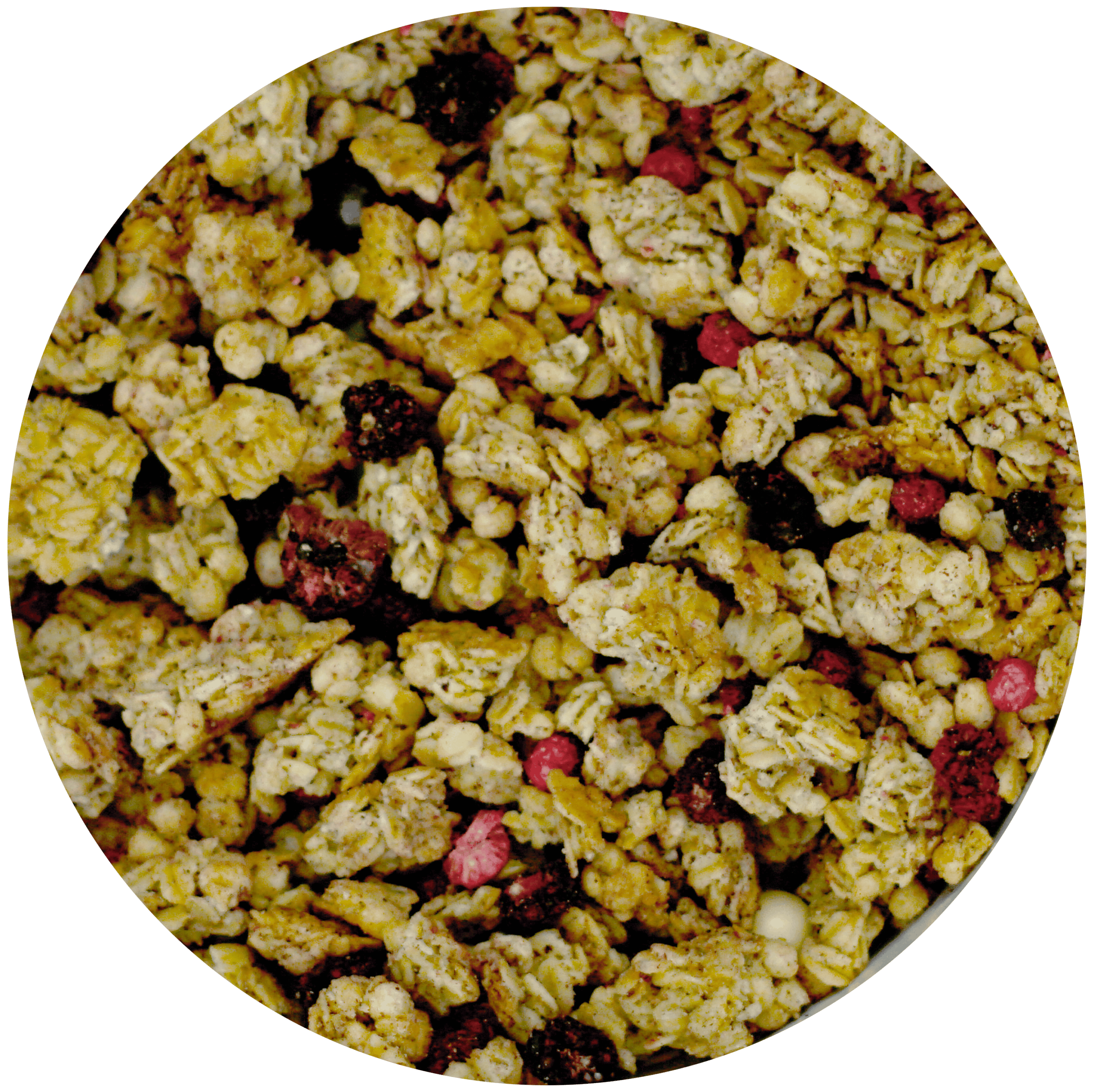 Image Blueberry Granola