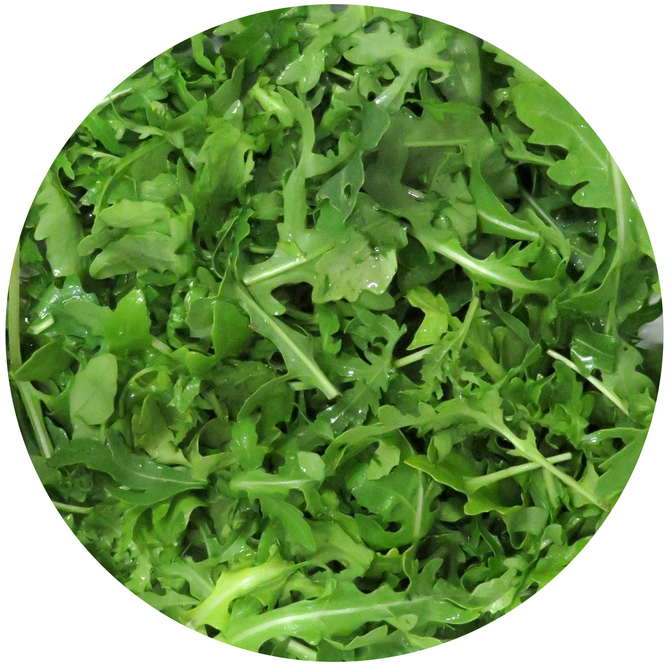 Image Rucola